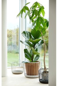 Cestino in filo metallico Inu - Zone