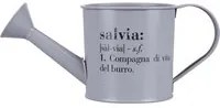 Annaffiatoio porta piantine con scritta salvia Victionary