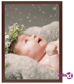 vidaXL Cornici Foto Collage 5 pz per Tavolo Rosso Scuro 13x18 cm