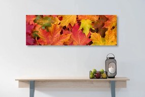 Quadro su tela – Foglie autunnali