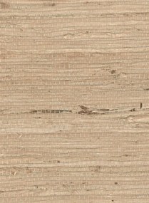 Élitis Carta da parati Grasscloth - RM 1083 05