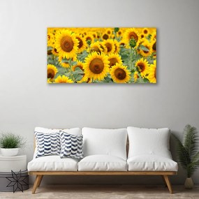 Quadro su tela Girasoli, piante, natura 100x50 cm