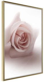 Poster  Subtle Flower  Cornice Quadri Cornice d'oro, Larghezza x Altezza Home decor 40x60