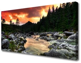 Quadro su tela Lago di fiume della foresta della natura 100x50 cm
