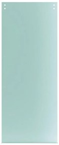 Anta per porta scorrevole esterno muro Neutra in vetro, L 96 x H 215 cm spessore 10 mm, apertura sinistra