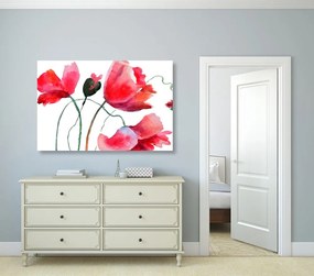 Stampa su tela – Fiori di papavero unici