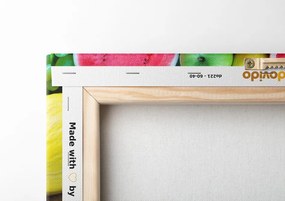 Stampa su tela – Frutta tropicale