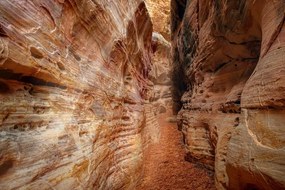 Quadro su tela – Sentiero nel Grand Canyon