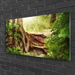 Quadro di vetro Tronco d'albero Foresta naturale 100x50 cm