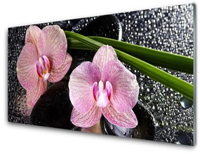 Quadro acrilico Fiori di orchidea Orchidea Zen 100x50 cm