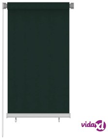 vidaXL Tenda a Rullo per Esterni 80x140 cm Verde Scuro HDPE