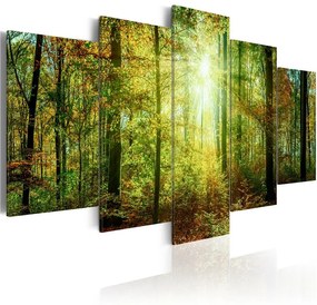 Quadro Wild Forest  Colore Marrone, Dimensioni e Misure 200x100