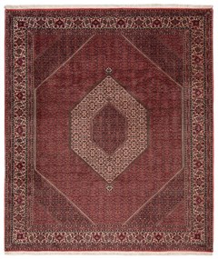 Bidjar Tappeto 260x300 (Iran) Annodato A Mano