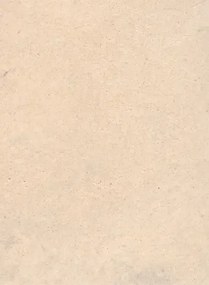Terrastone Rustique floor - 15kg - 17 - champagner havane - 15 kg