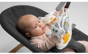 Lionelo - Altalena per bambini JUNE antracite