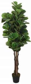 Albero Ficus Lyrata 232 Foglie 180 Cm Verde /