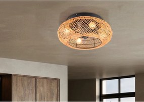 Plafoniera marrone con telecomando e ventilatore Lillesand – Trio