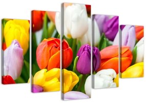 Quadri Quadro 5 pezzi Stampa su tela Fiori di tulipani colorati  Dimensioni Tappeti 100x70