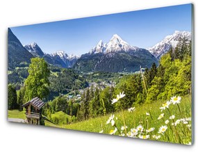 Pannello paraschizzi cucina Montagna del campo naturale 125x50 cm