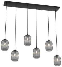 Lampadario 6 Luci Selene In Acciaio Nero E Vetri Plissettati Fumè