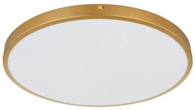 Globo 12381-30 - Plafoniera LED TIBEY LED/30W/230V diametro 45 cm