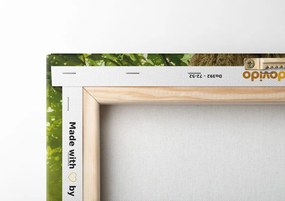 Quadro su tela – Radice dell'albero