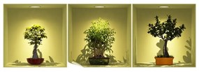 Set di 3 adesivi con effetto 3D Alberi Bonsai su Spot - Ambiance