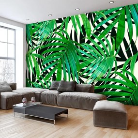 Fotomurale adesivo  Tropical Leaves  Larghezza x Altezza Home decor 196x140