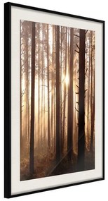 Poster  Morning in the Forest  Cornice Quadri Cornice nera con pass-partout, Larghezza x Altezza Home decor 30x45