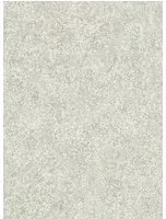 Lederoptik Tapete Shagreen von Zoffany - Empire Grey