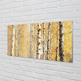 Quadro in vetro Alberi d'autunno 100x50 cm