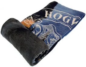 Harry Potter  Coperta TA10790  Harry Potter