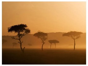 Fotomurale Massai Mara