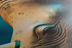 Stampa su tela – Rinoceronte blu-oro