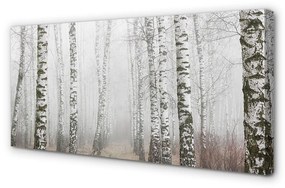 Quadro su tela Nebbia di betulla 100x50 cm