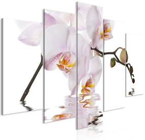 Quadro Delightful Orchid (5 Parts) Wide