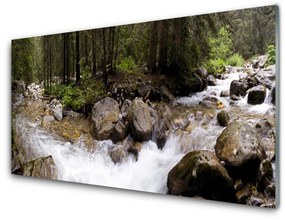 Rivestimento parete cucina Foresta, fiume, cascate 100x50 cm