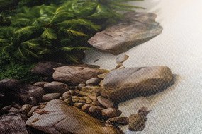 Quadro su tela – Costa delle Seychelles