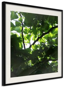 Poster  Under Cover of Leaves  Cornice Quadri Cornice nera con pass-partout, Larghezza x Altezza Home decor 30x30