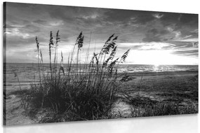 Stampa su tela – Tramonto sulla spiaggia in bianco e nero