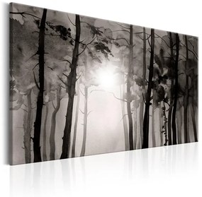 Quadro  Foggy Forest  Colore bianco e nero, Dimensioni e Misure 90x60