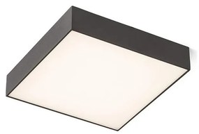 RED - Design Rendl - R12851 - Plafoniera LED LARISA LED/30W/230V nera