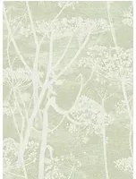 Tapete Cow Parsley Icons von Cole & Son - Olive