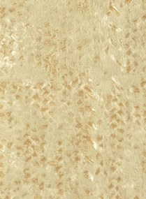 Élitis Carta da parati Laca Salvaje - Champagner/ Messing