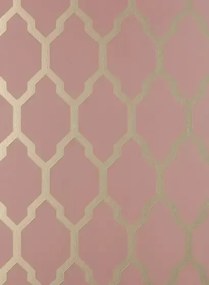 Tessella von Farrow & Ball - Pink/ Gilver