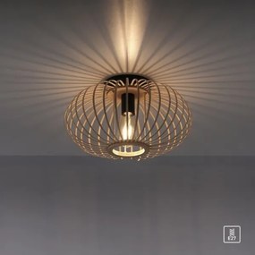 Leuchten Direkt 11410-79 - Lampadario a plafone RACOON 1xE27/40W/230V diametro 40 cm