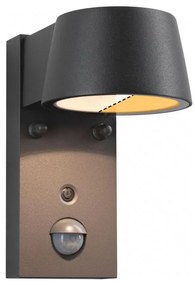 Paulmann 94714 - LED/6W IP44 Applique da esterno con sensore CAPERA 230V
