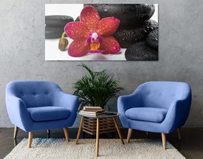Stampa su tela – Orchidea e pietre Zen su sfondo bianco