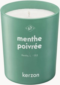 Candela profumata Menthe Poivrée (menta, salvia)