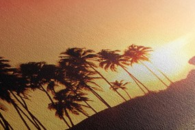 Quadro su tela – Tramonto in Sri Lanka